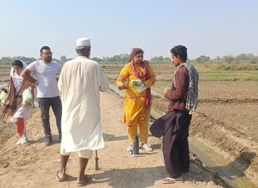decent work and economics