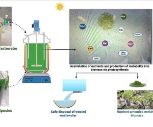 circular economy supoort circular economy supoort